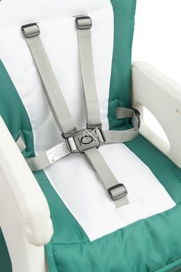 Cтільчик для годування Caretero Homee Green